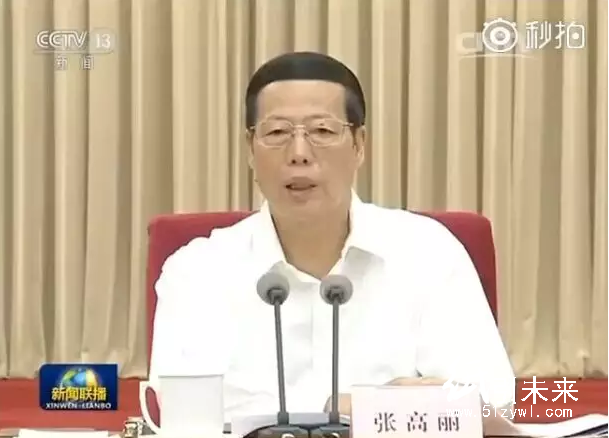 國(guó)務(wù)院副總理張高麗