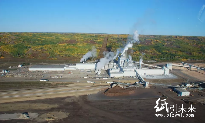 全球紙漿市場(chǎng)又一重磅收購?fù)瓿桑瑳]有中國(guó)企業(yè)參與，卻將影響中國(guó)市場(chǎng)