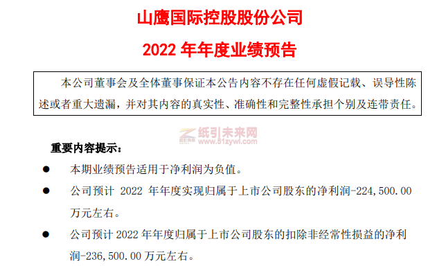 山鷹紙業(yè) 2022年業(yè)績報(bào)告 紙引未來網(wǎng)